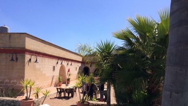Appartamento Porto Cesareo Exterior photo